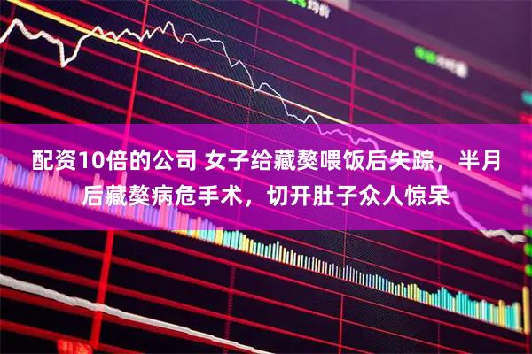 配资10倍的公司 女子给藏獒喂饭后失踪,半月后藏獒病危手术,切开肚子众人惊呆