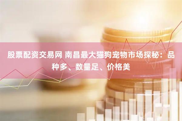 股票配资交易网 南昌最大猫狗宠物市场探秘：品种多、数量足、价格美