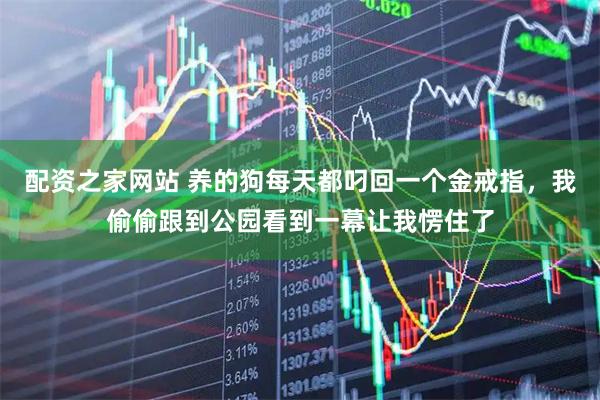 配资之家网站 养的狗每天都叼回一个金戒指，我偷偷跟到公园看到一幕让我愣住了